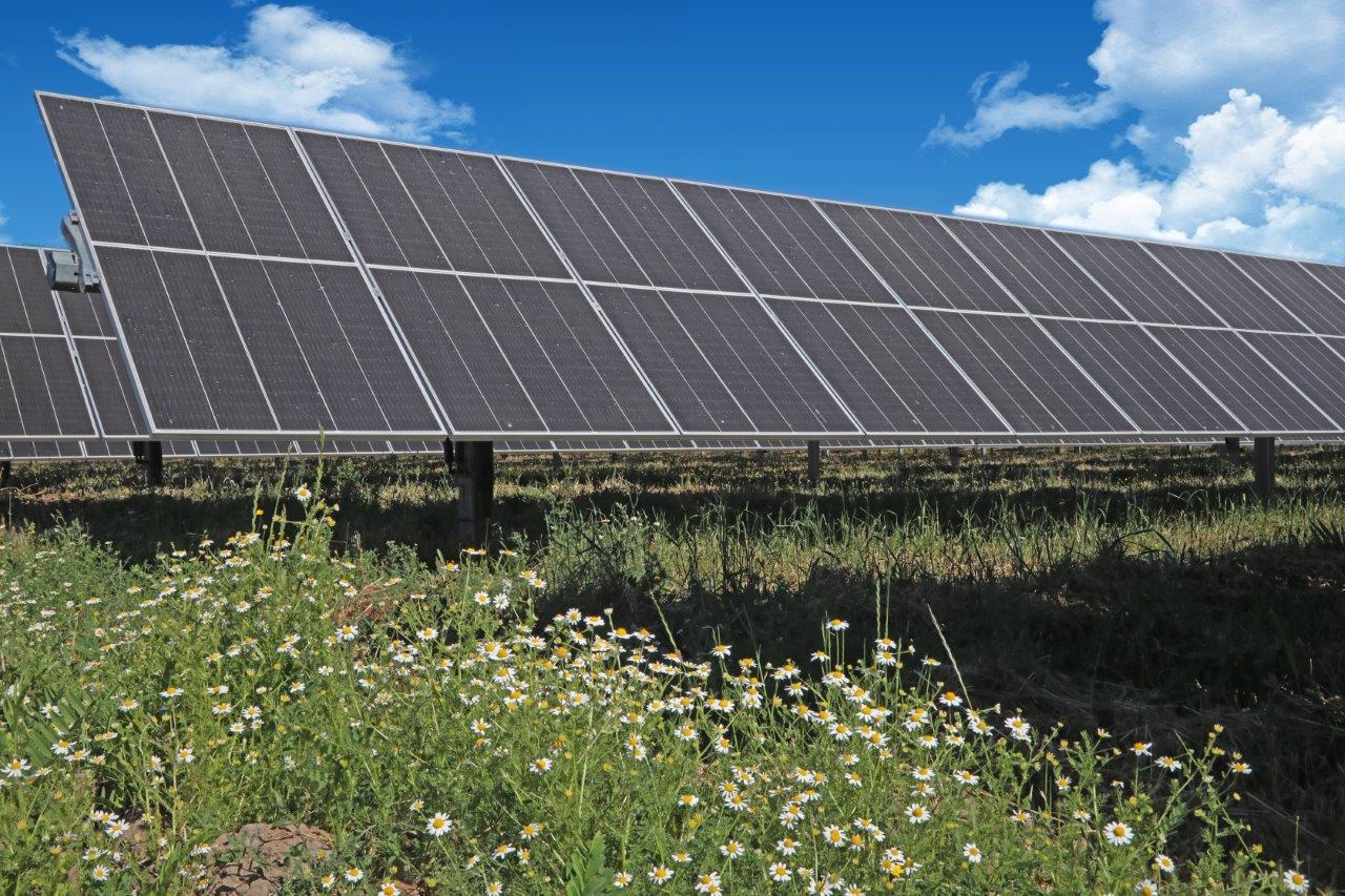 Tecnología de Atamostec permitirá optimizar limpieza de planta fotovoltaica de Colbún en el desierto