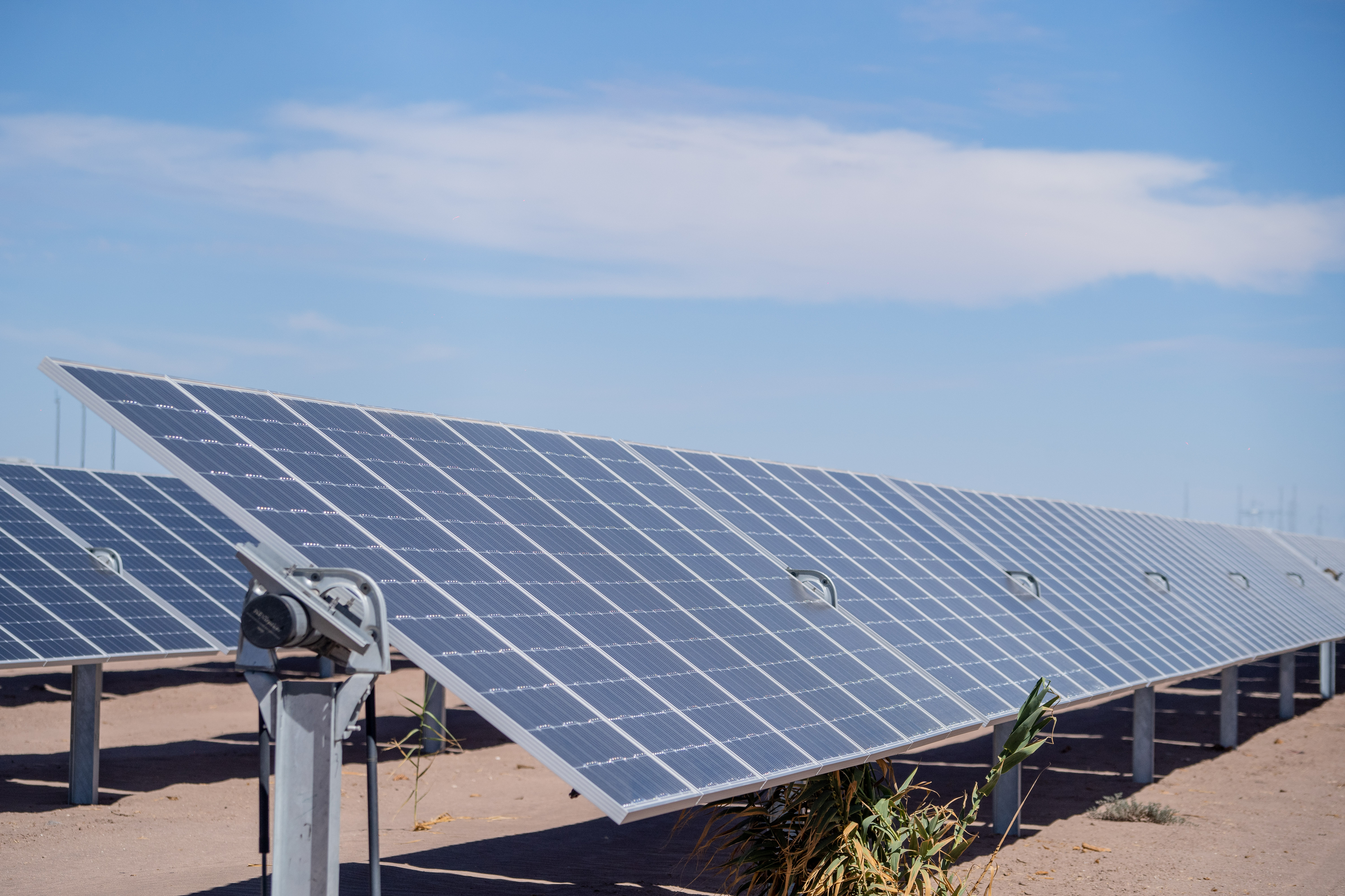 Atlas Renewable Energy asegura financiamiento con BNB para la construcción de la planta solar en Brasil