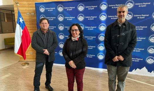 Autoridades regionales de Aysén informan avances en ejecución del Plan de Contingencia del Pellet