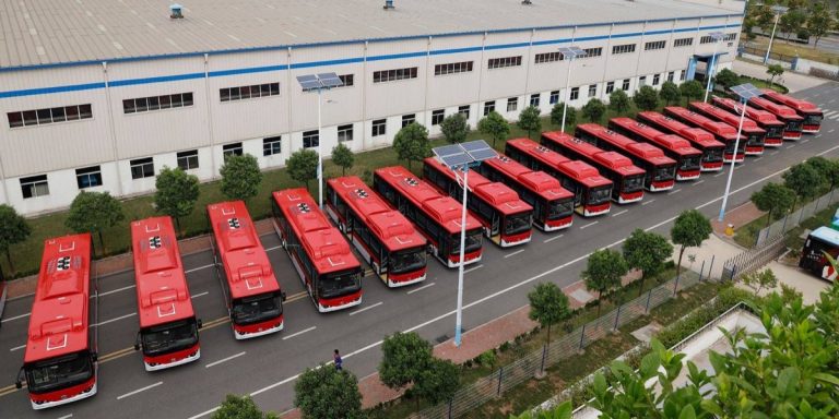 BYD-buses-eléctricos-768x384