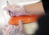 Sushi chef. Close up of mans hands cutting fish for sushi
