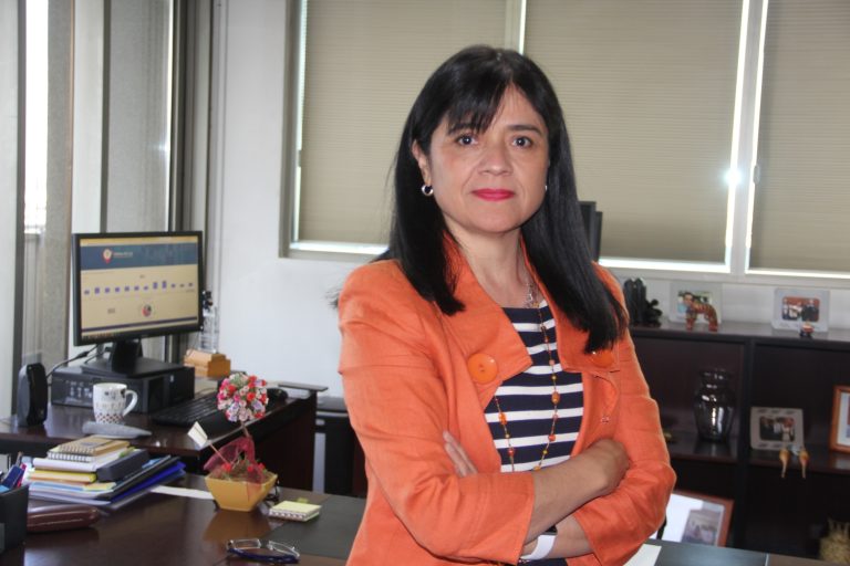 Marta Cabeza Vargas, Superintendenta de Electricidad y Combustibles