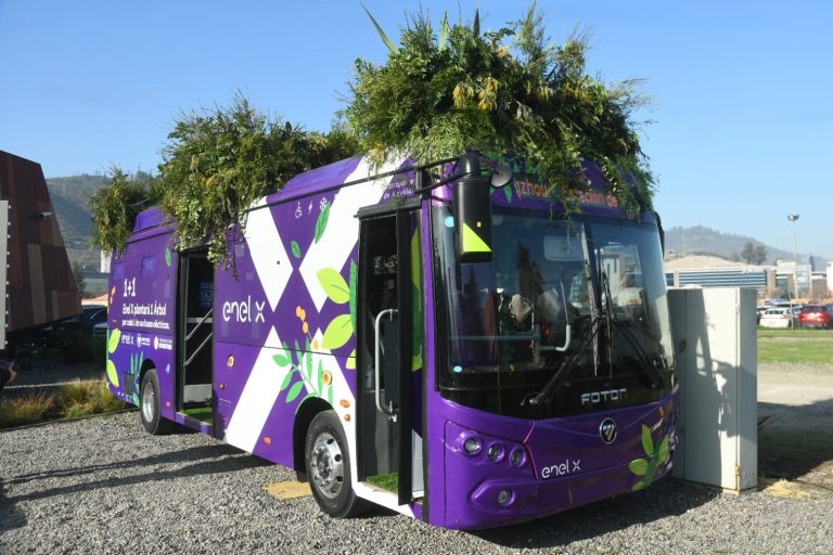 Enel X lanza campaña para apoyar reforestación en el sur: Plantará un árbol por cada uno de sus buses eléctricos
