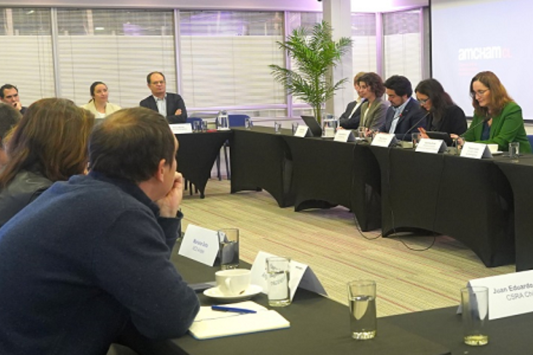 Directora ejecutiva del SEA expone sobre reforma del reglamento del SEIA ante socios de AmCham Chile