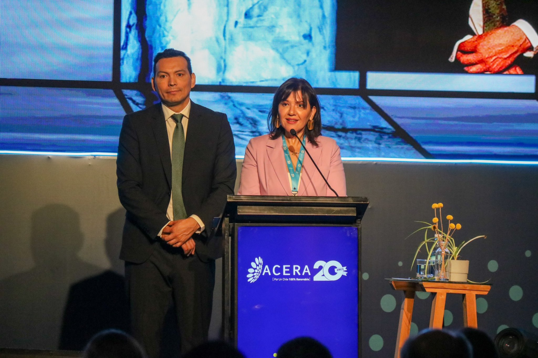 Acera celebra 20 años reuniendo a expertos en almacenamiento y transición energética