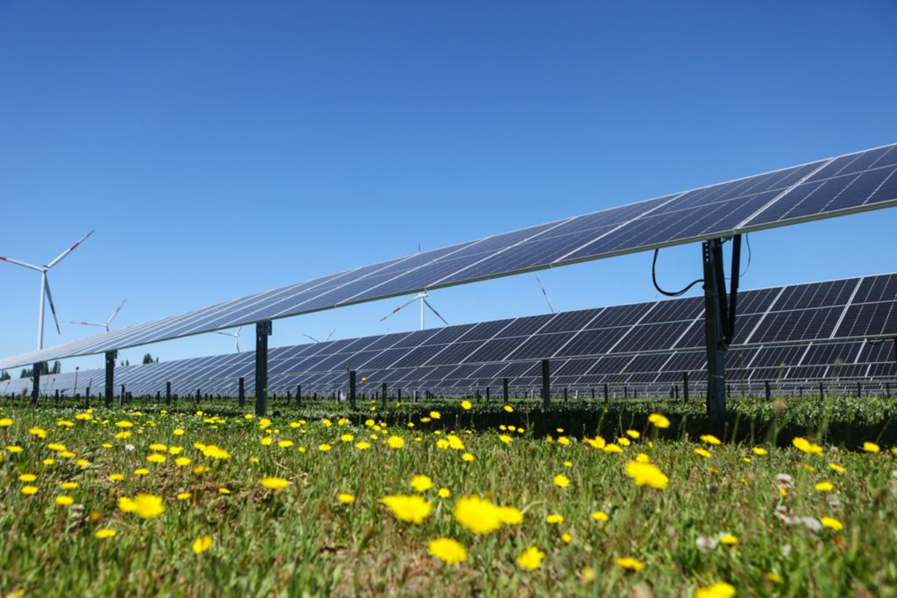 Biobío marca un hito al superar la generación térmica con energía solar y eólica en noviembre de 2023