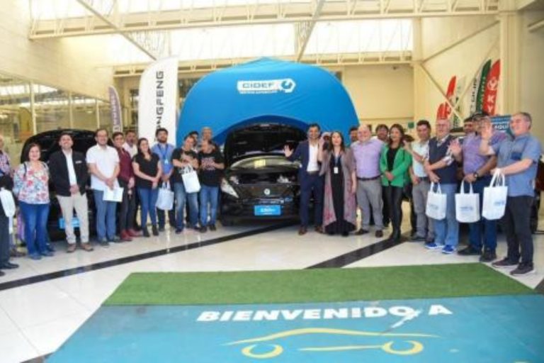 Tras exitoso test drive: Presentan en Valdivia nuevo modelo de cero emisiones para recambio de taxis