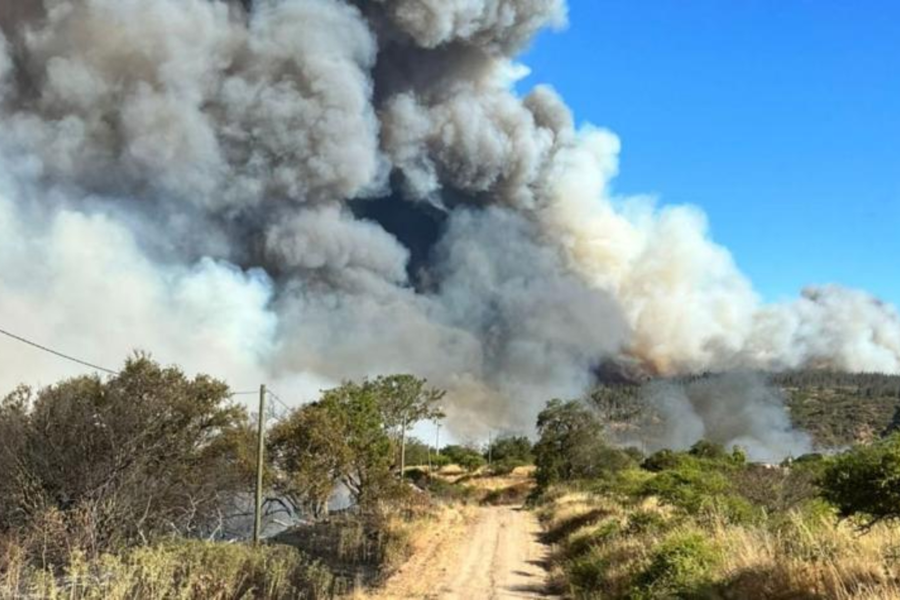Incendios forestales: Fiscalía y PDI realizan diligencias en oficinas de CGE en Melipilla