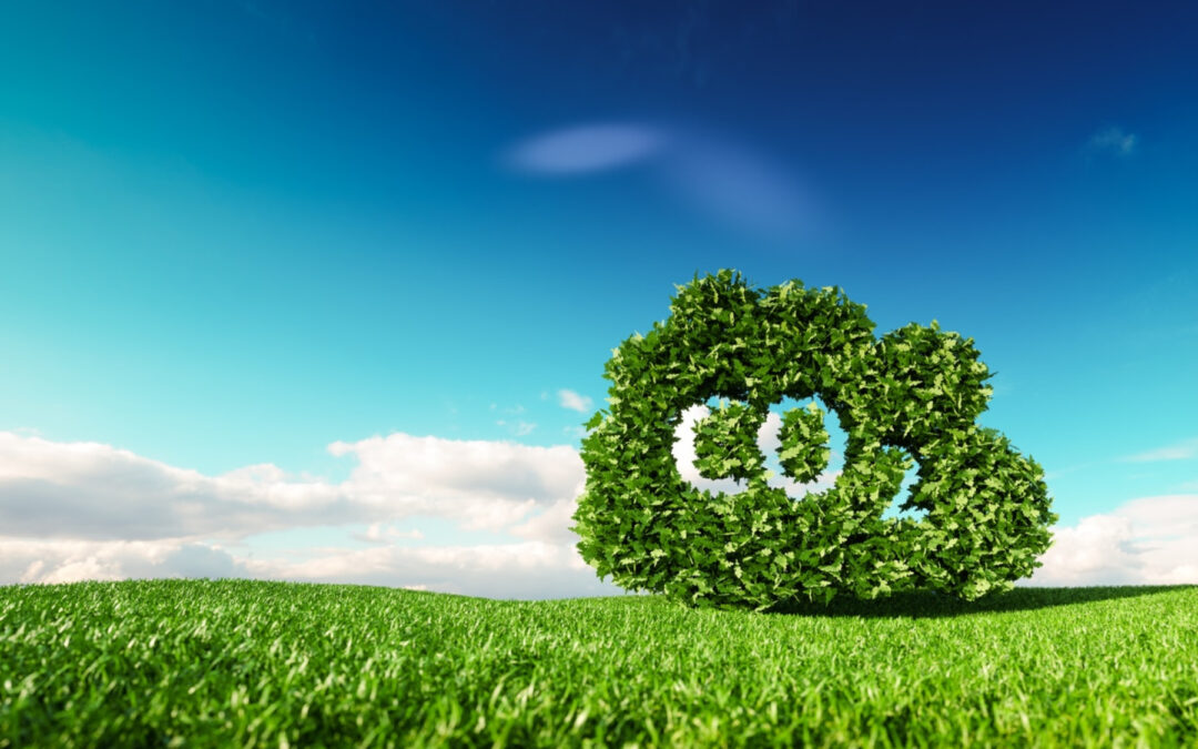 Según estudio: 62% de los ejecutivos espera llegar a la neutralidad de emisiones en 2060