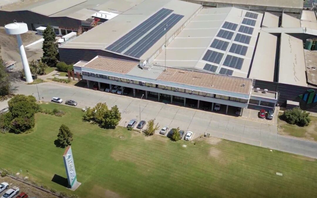 Enel X implementa sistema fotovoltaico de 300 kW en empresa agrícola en O’Higgins