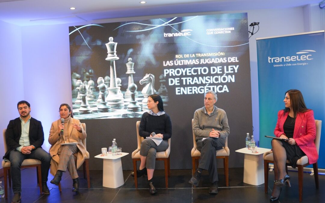 Actores públicos y privados analizan PDL de Transición Energética: Piden agilizar discusión