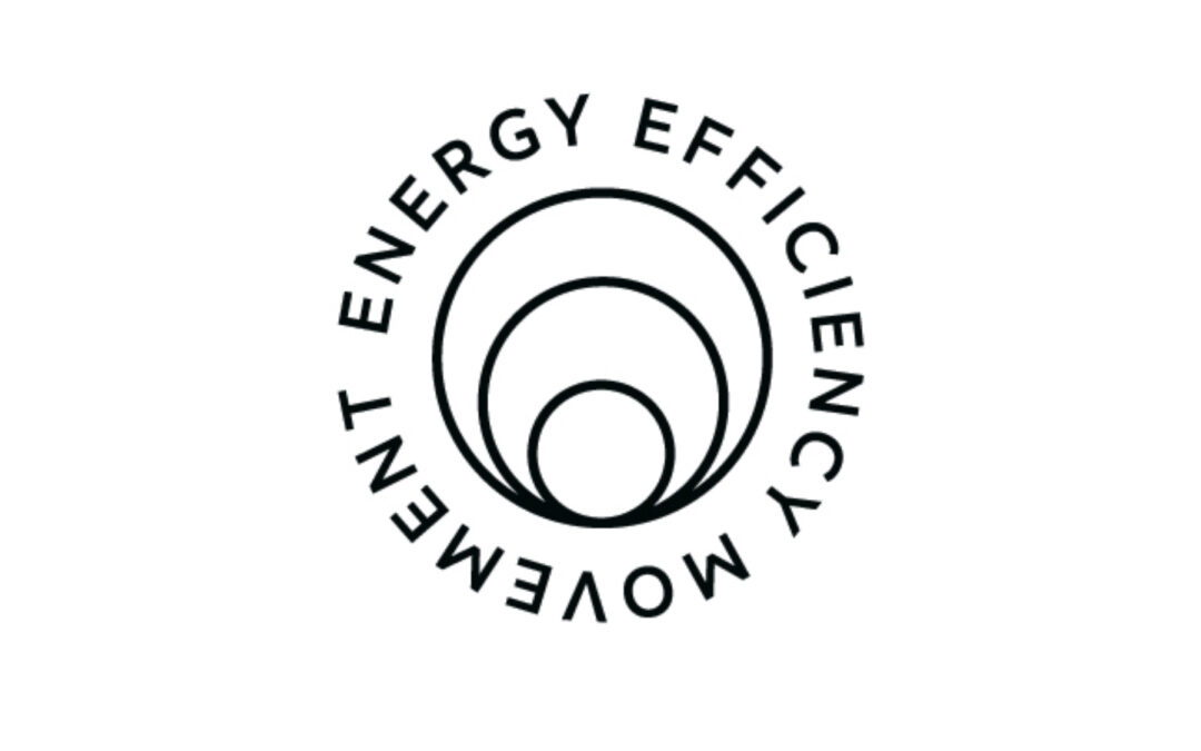 Movimiento por la Eficiencia Energética se transforma en asociación independiente