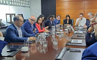 SEC exige a eléctricas cumplimiento de planes de acción presentados para evitar cortes durante el invierno