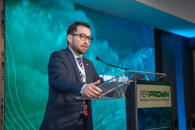 Director ejecutivo del SEA presenta presupuesto 2027 y plan de desarrollo de personas ante el Cosoc
